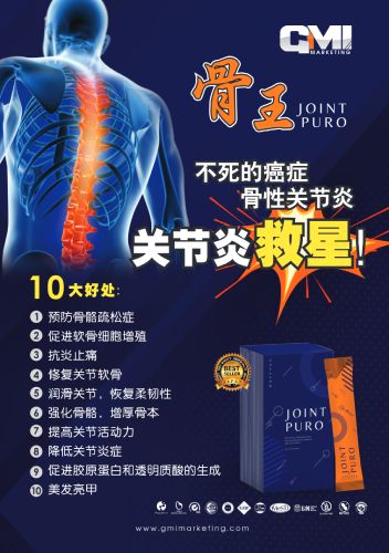 JointPuro A4 Flyer Chinese 29-08-2022-pdf