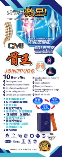 JOINTPURO chinese+english 2×5 bunting NEW 2023