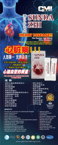 Sundazhi chinese + eng BUNTING 2X5