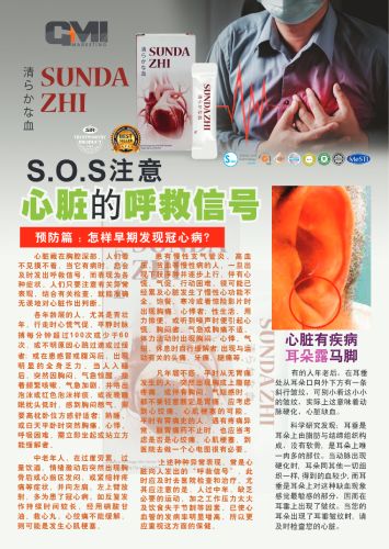 Sundazhi ear chinese-pdf