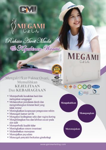 megami-flyer-bm