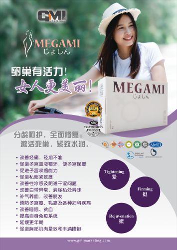 megami-flyer-zh